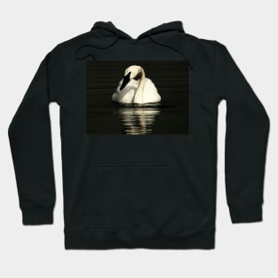 Trumpeter Swan - Out of Darkness Hoodie